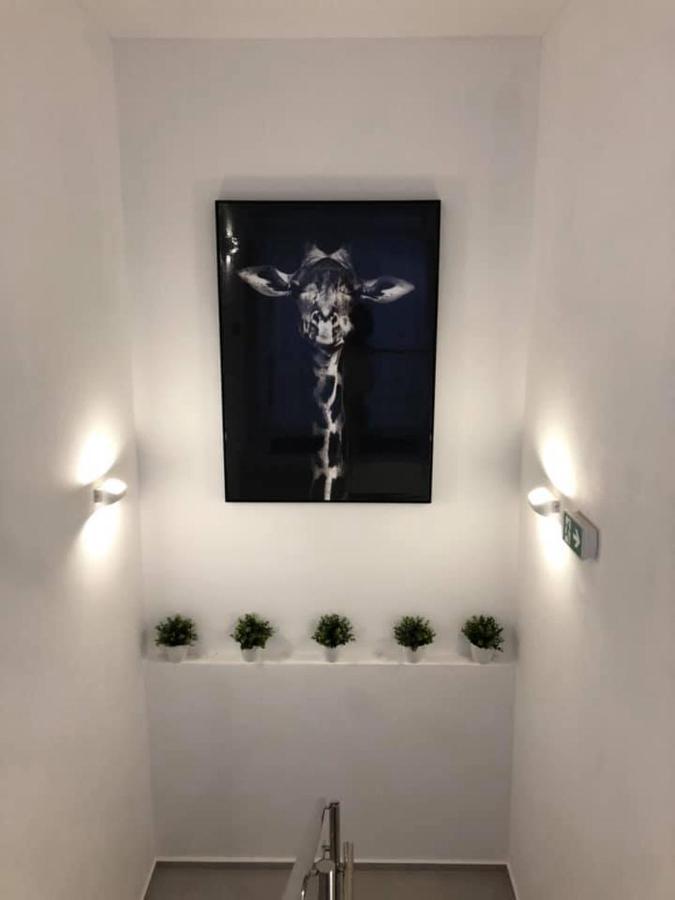 Penzion Fonte Radava Εξωτερικό φωτογραφία